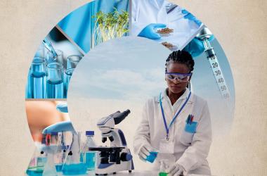 Annual Report 2023